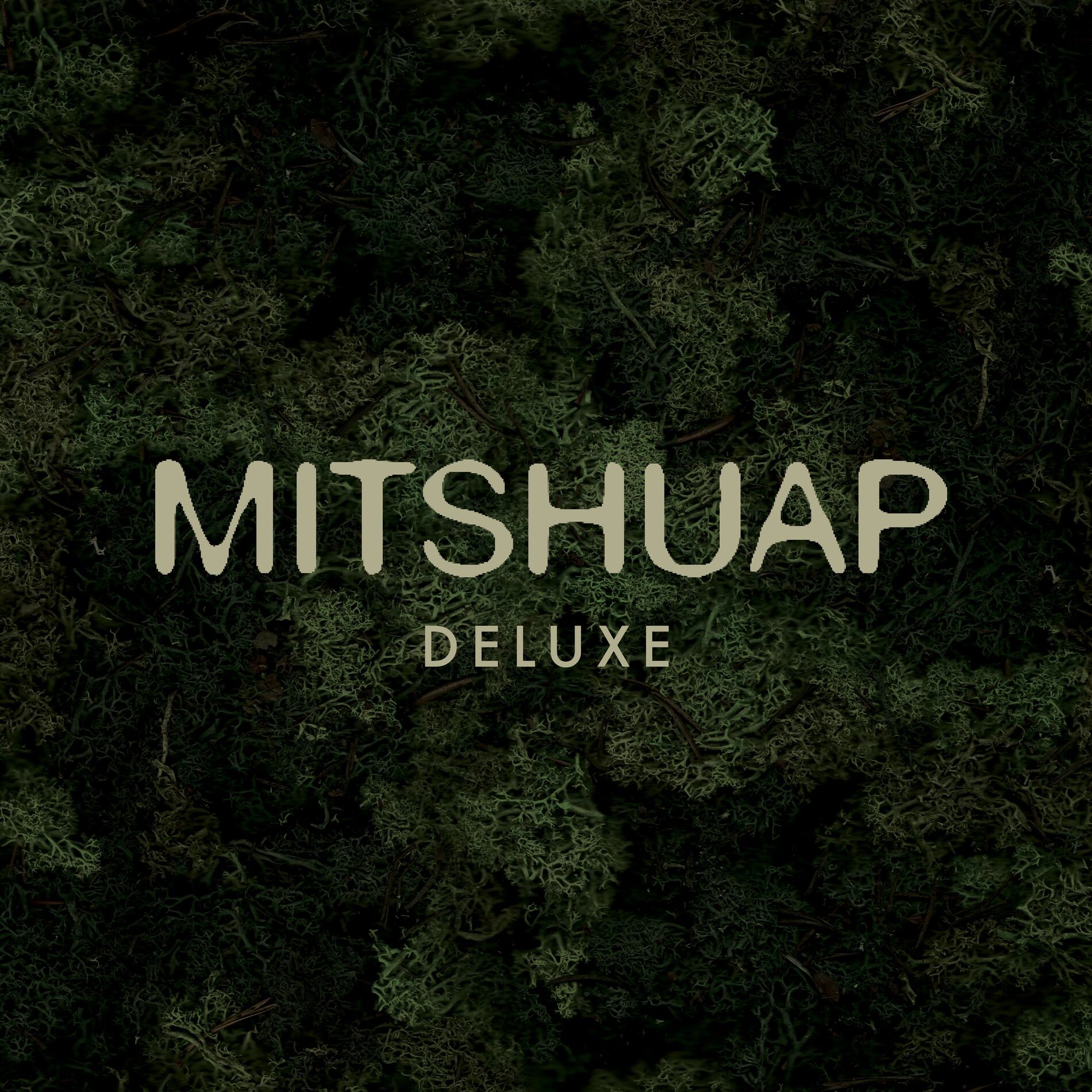 Album cover of Mitshuap (Deluxe)
