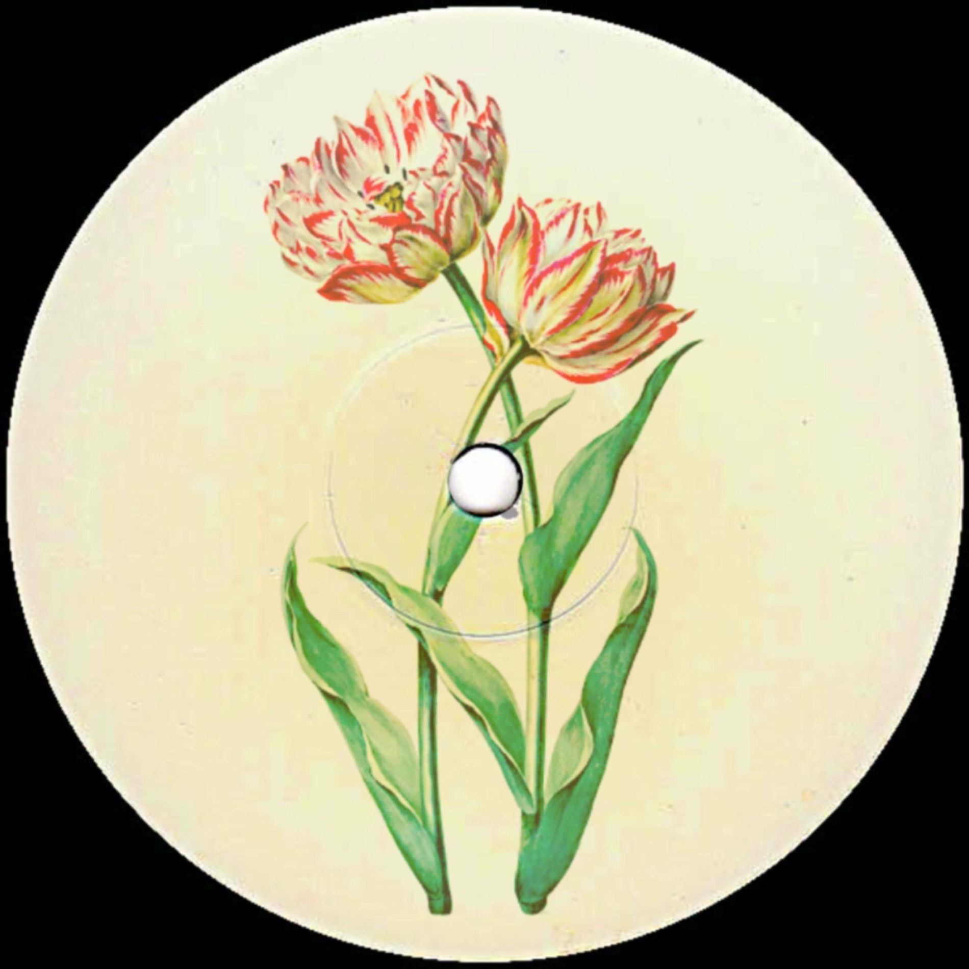 Album cover of ALL BY YOURSELF