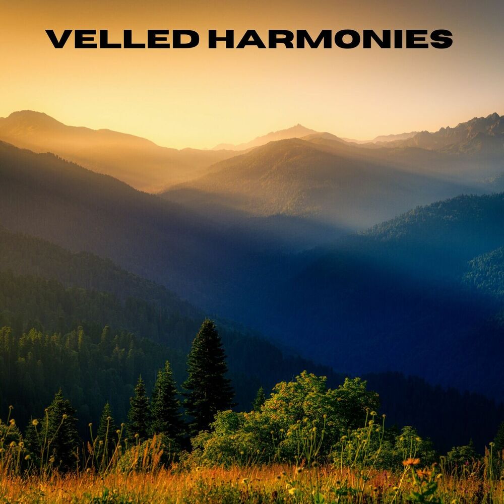 Picture of Veiled Harmonies