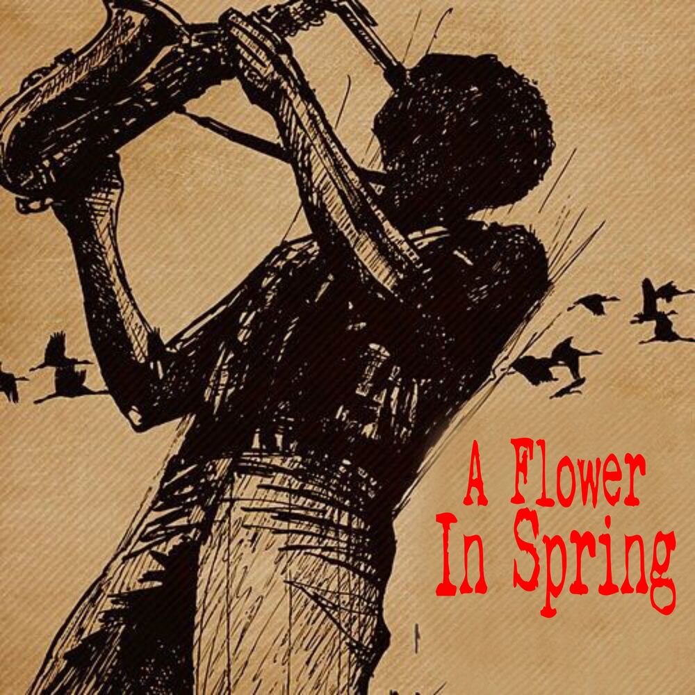Picture of A Flower In Spring