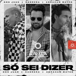 Cover of Só Sei Dizer