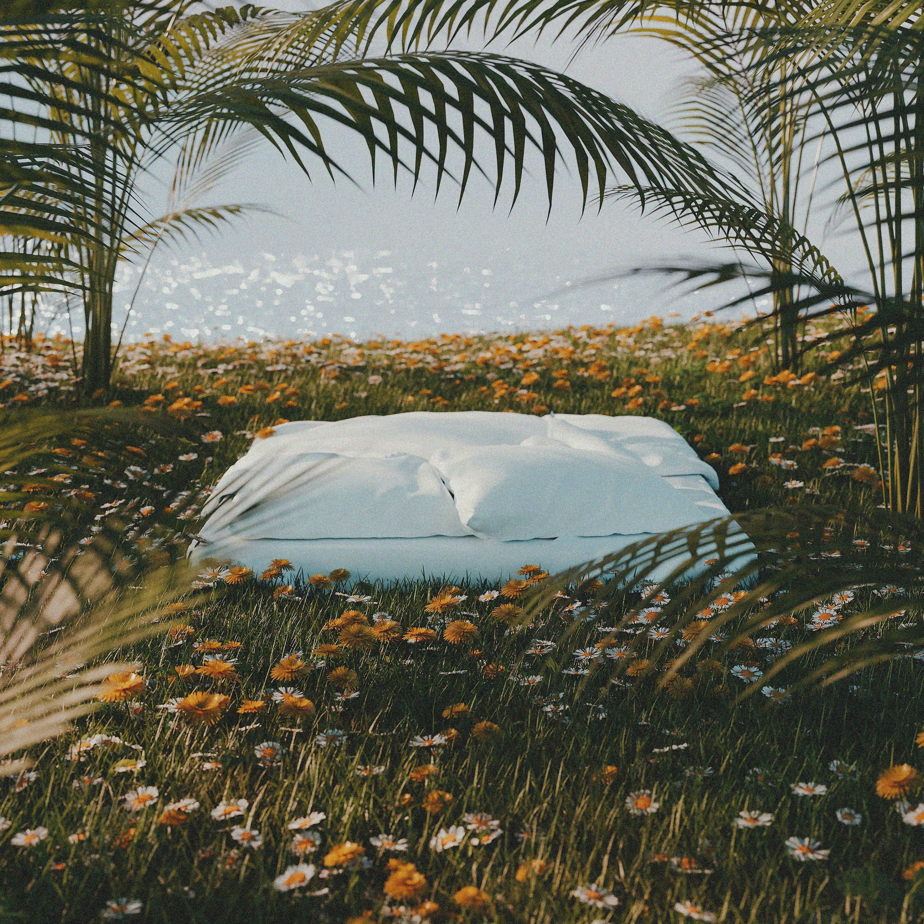 Album cover of i'm sleepy