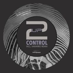 Cover of Control