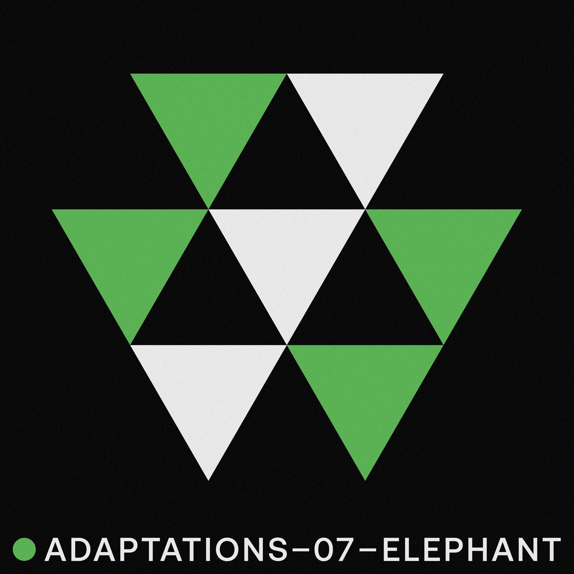 Album cover of Adaptations Volume 7