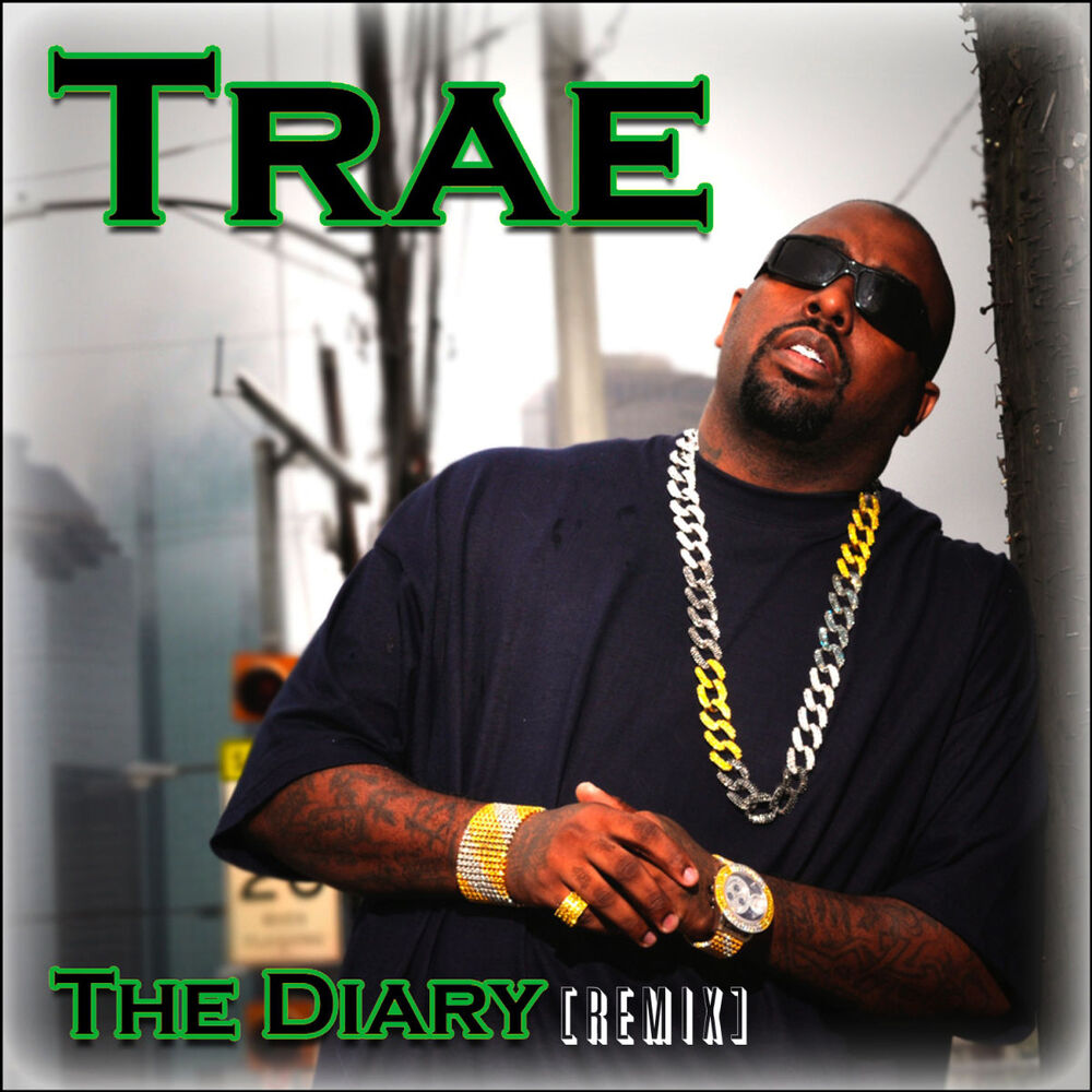 Picture of The Diary Reloaded