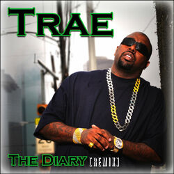 Cover of The Diary Reloaded