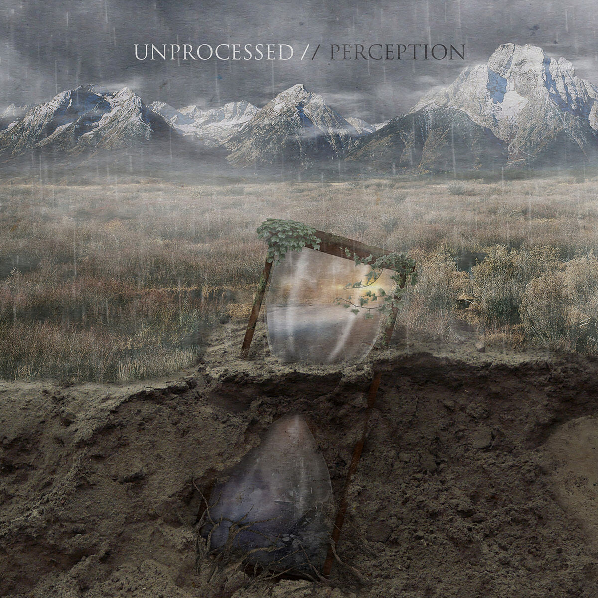 Album cover of Perception