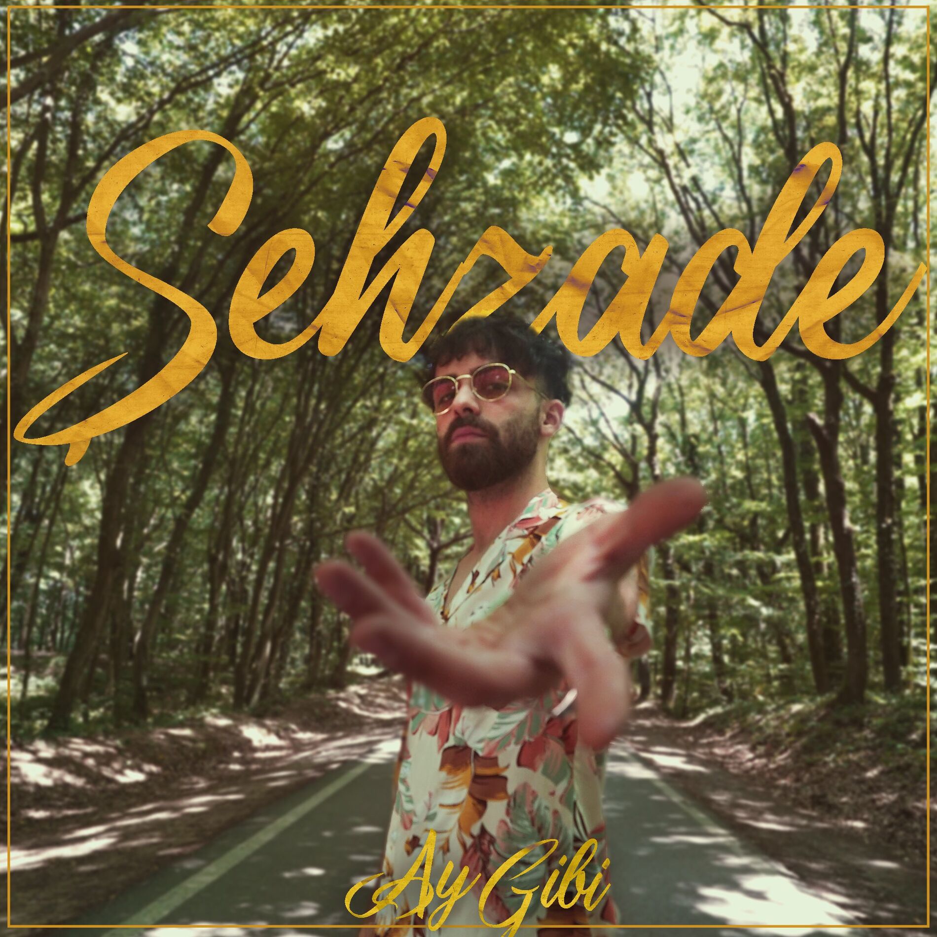 Album cover of Ay Gibi