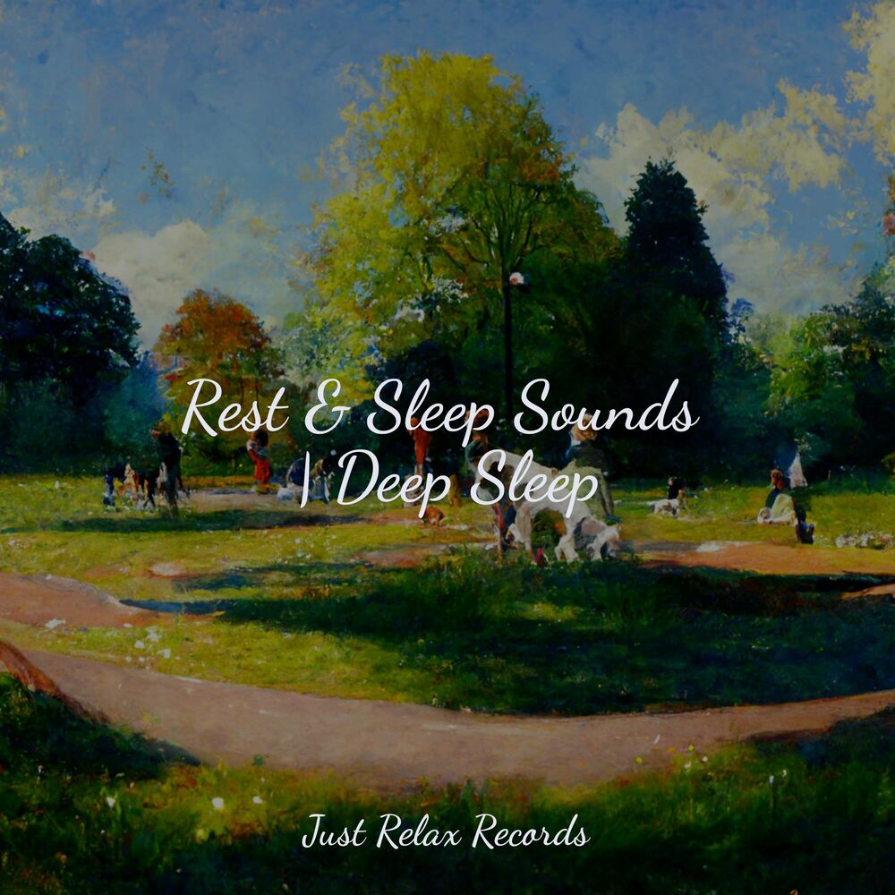 Picture of Rest & Sleep Sounds | Deep Sleep