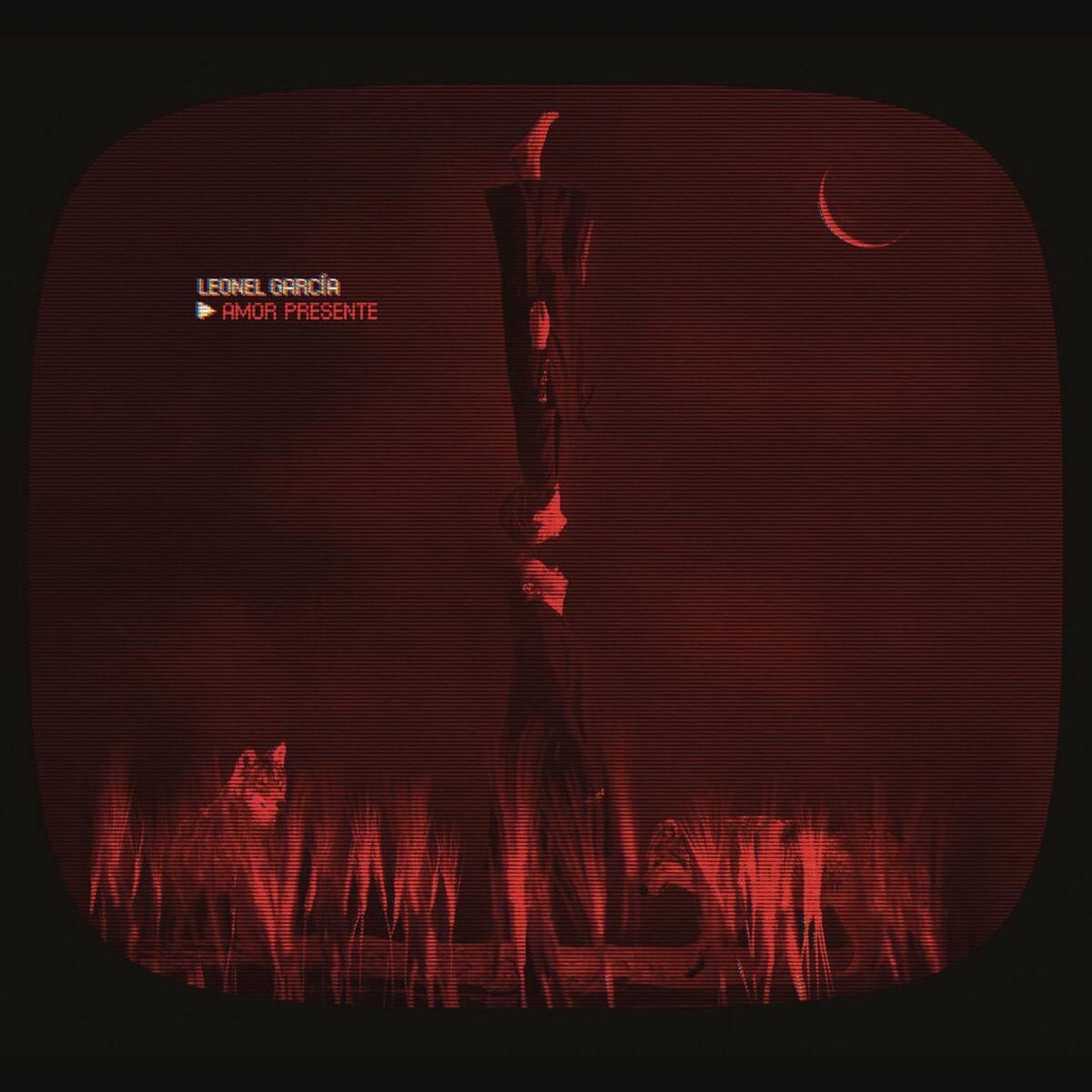Album cover of Infinita
