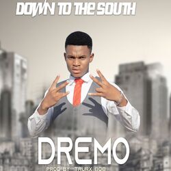 Cover of Down to the South