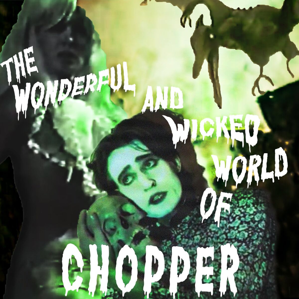 Album cover of The Wonderful and Wicked World of Chopper