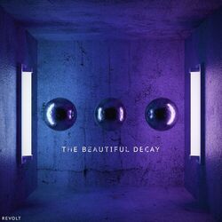 Cover of The Beautiful Decay