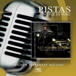 Cover of Pistas No Fue en Vano