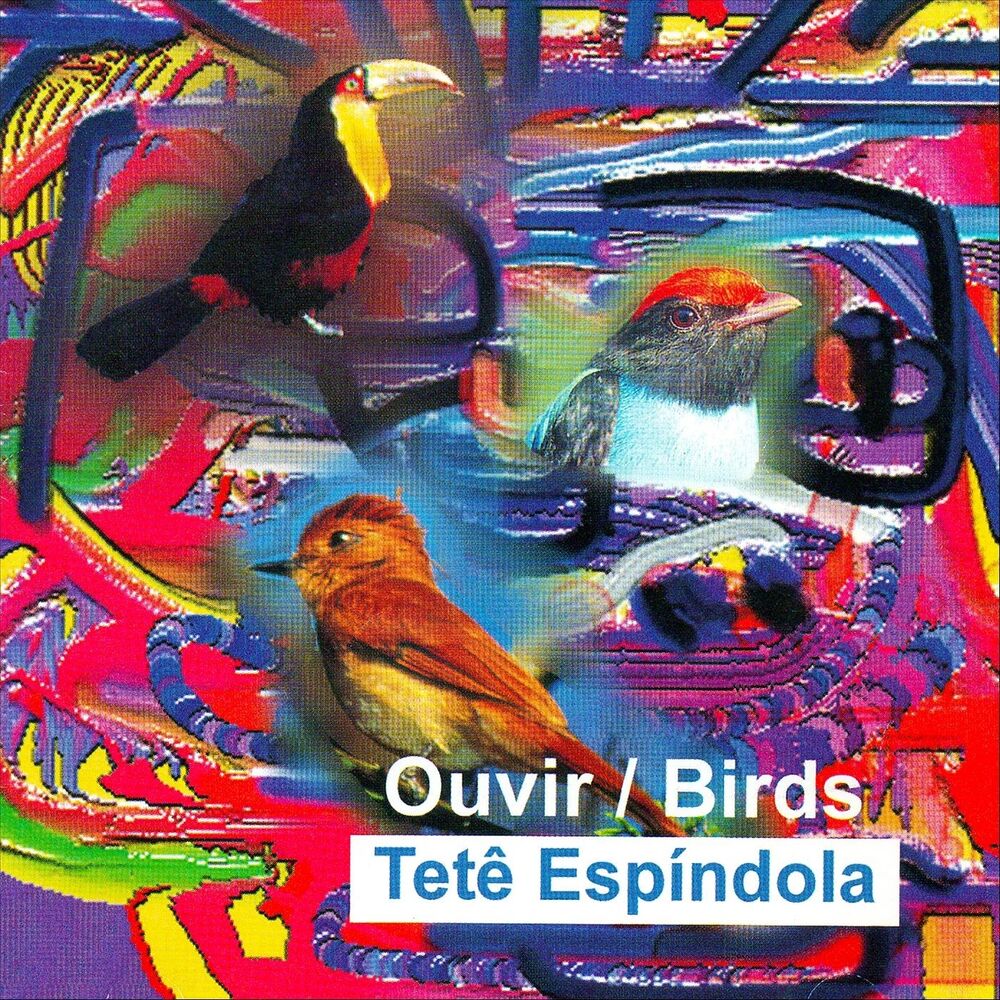 Picture of Ouvir / Birds