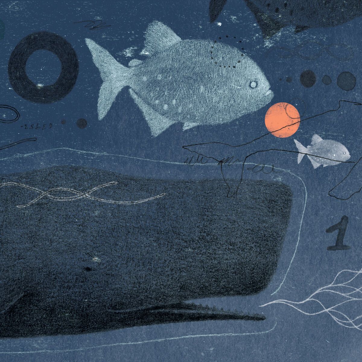 Album cover of Polen 10 Años - Bajo el Mar