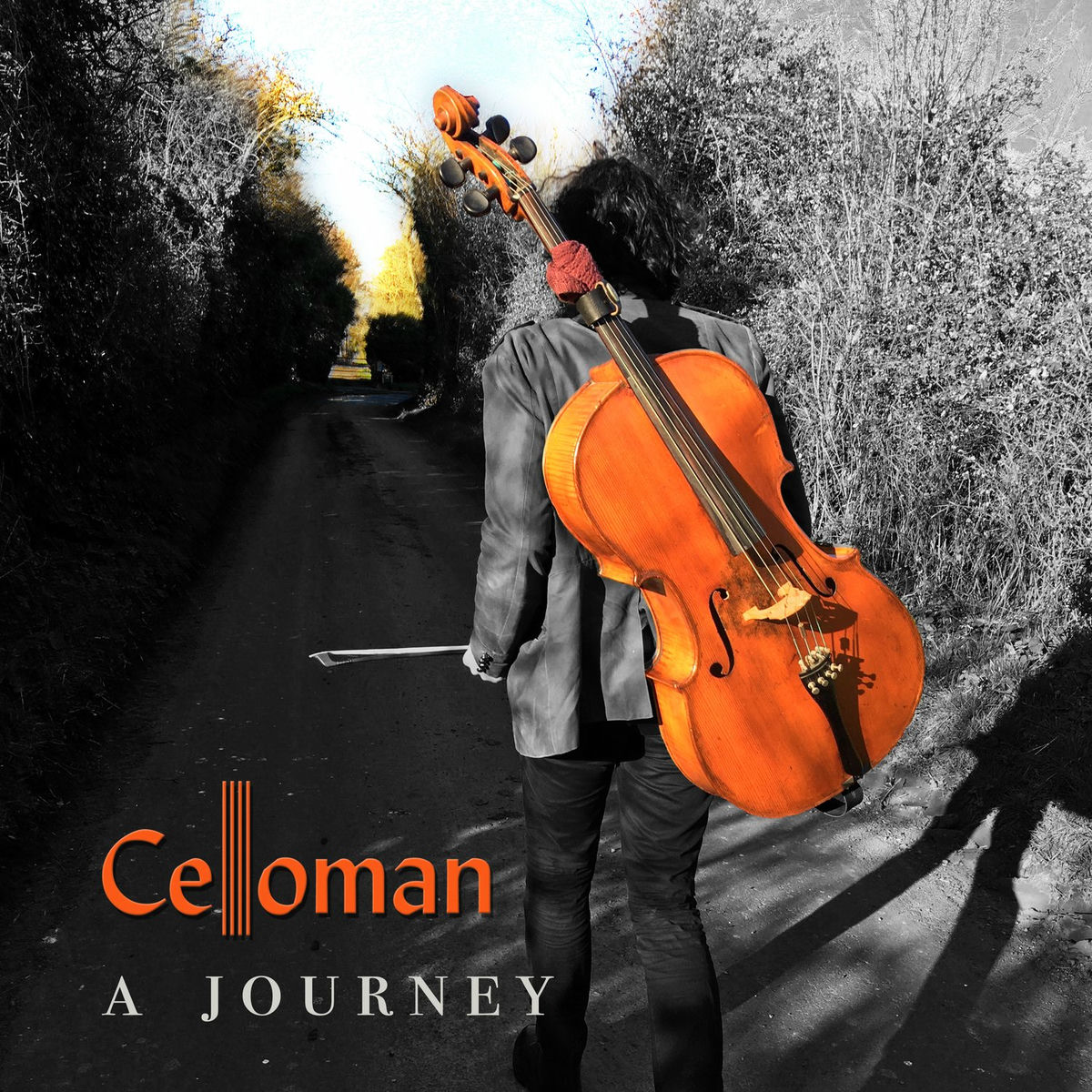 Album cover of A Journey