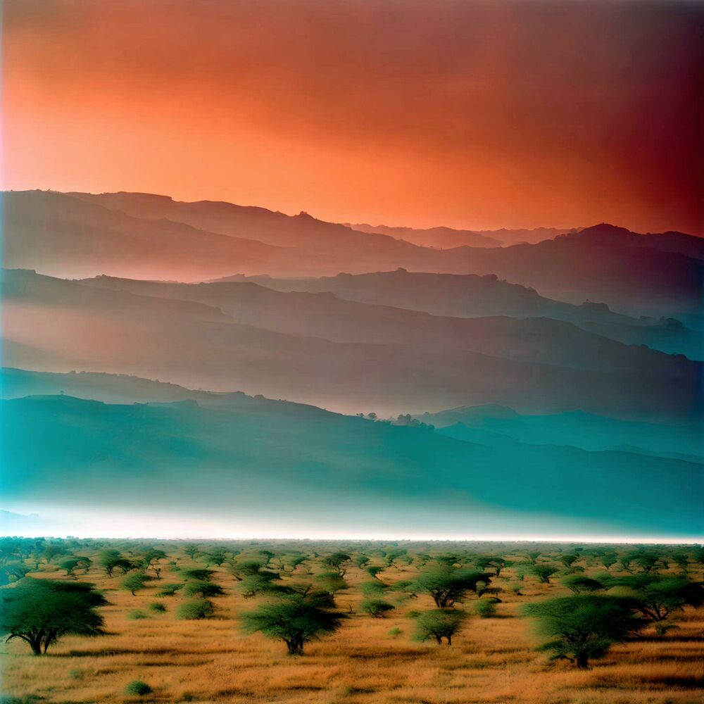 Picture of Mystique Serengeti
