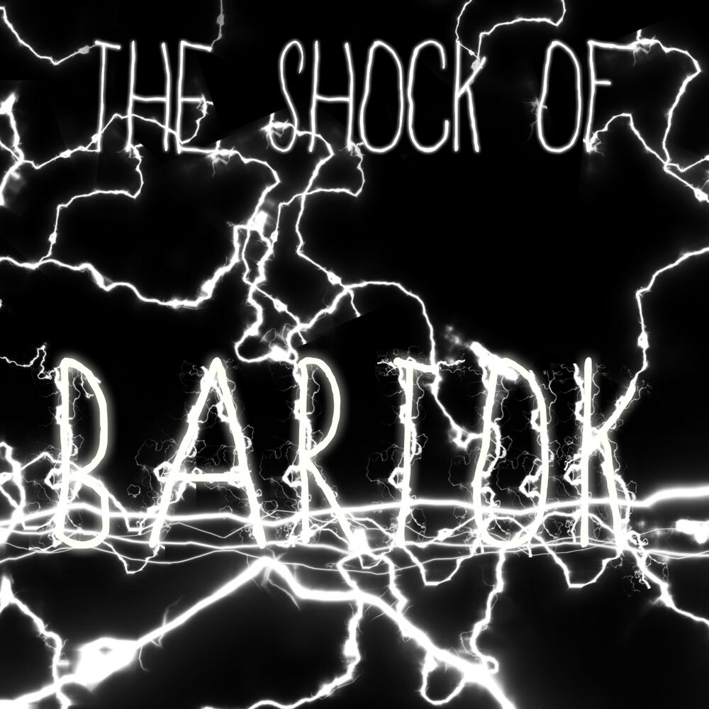 Picture of The Shock of Bartok