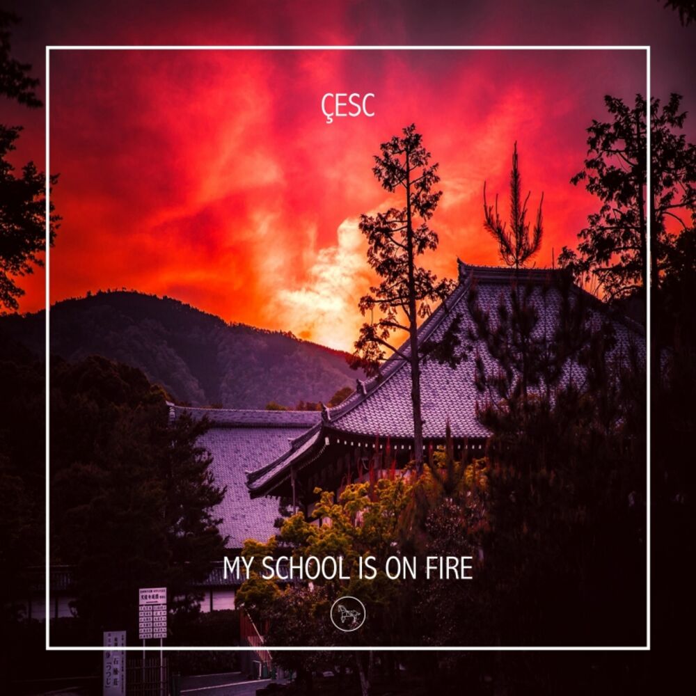 Picture of My School Is On Fire