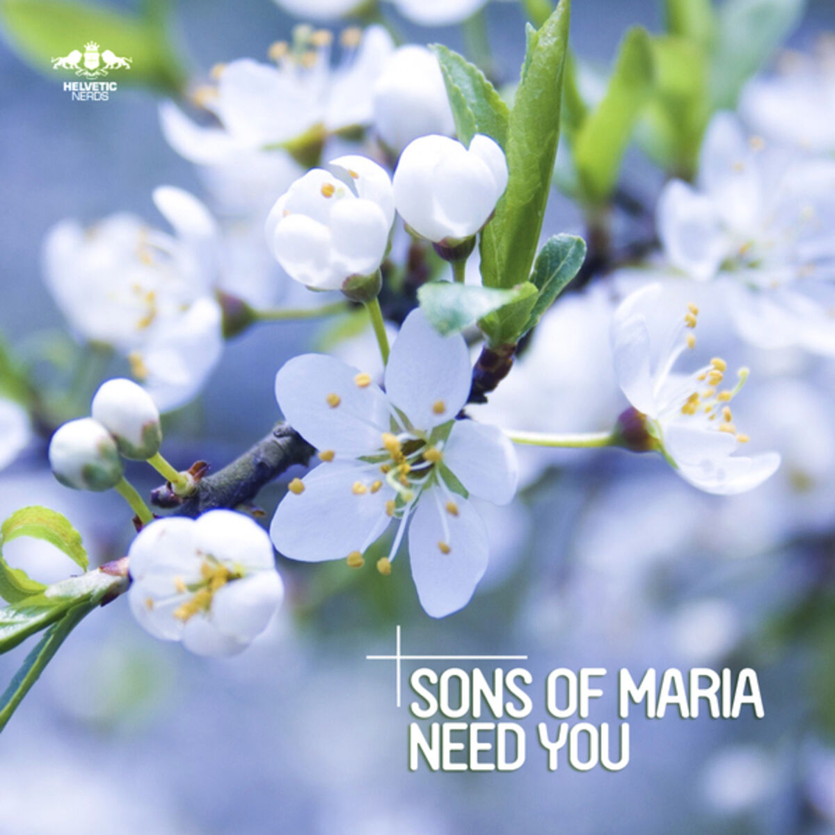 Album cover of Need You (Original Mix)