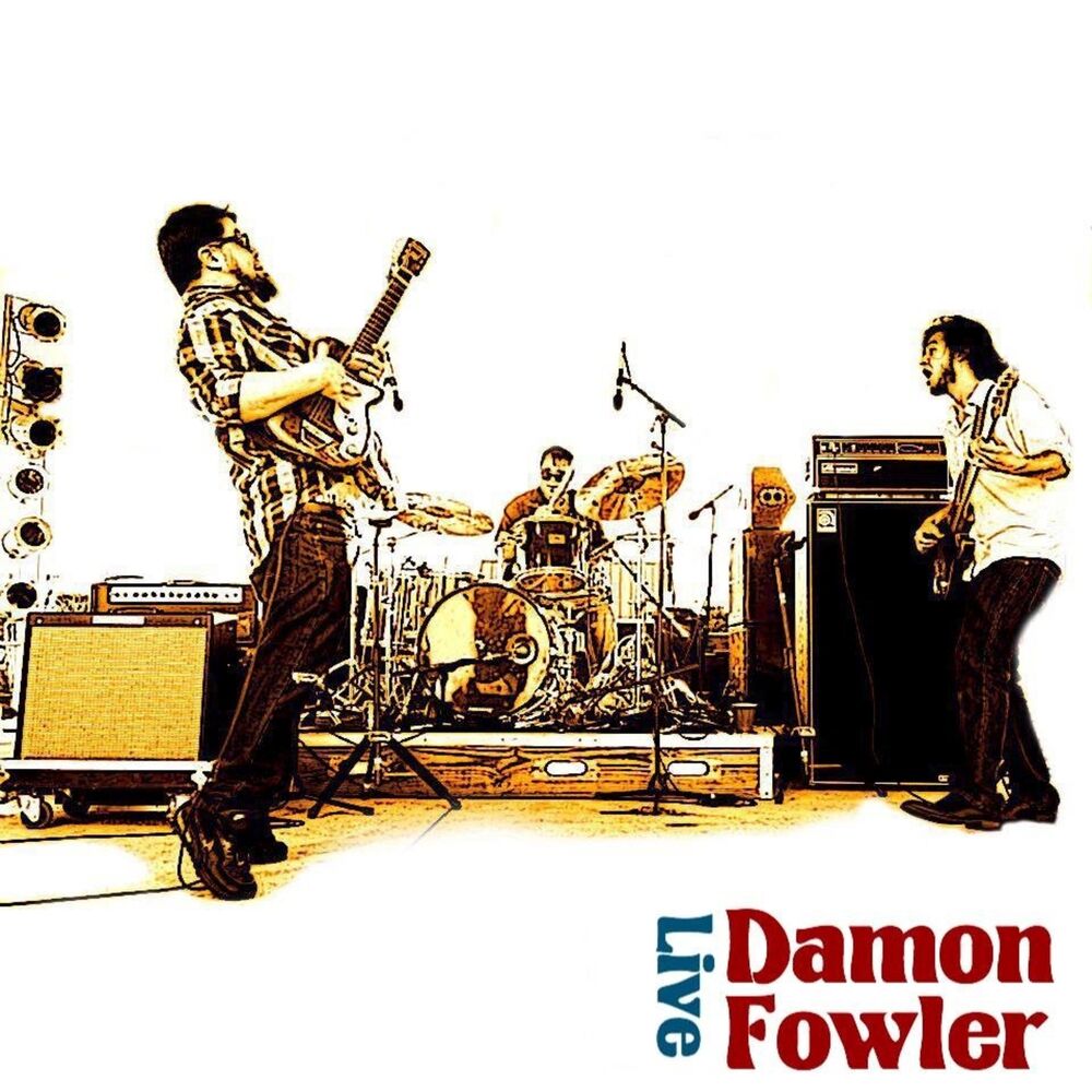 Picture of Damon Fowler Live