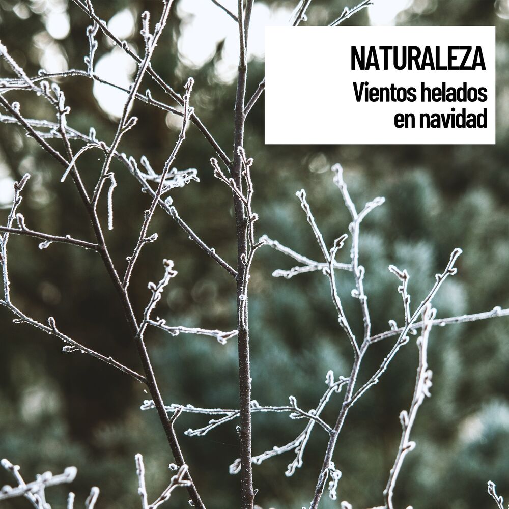 Picture of Sonidos de Naturaleza: Vientos helados en navidad
