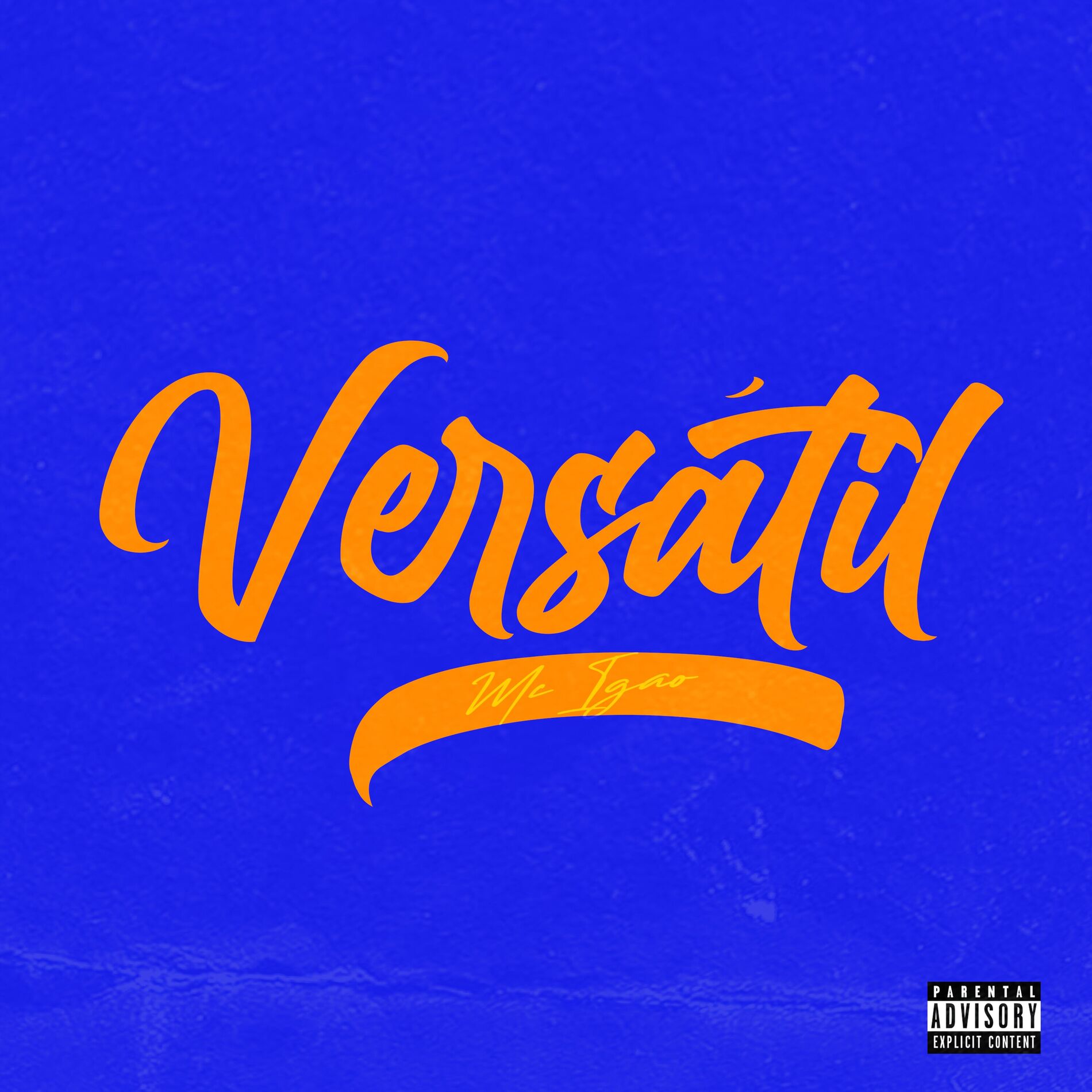 Album cover of Versátil
