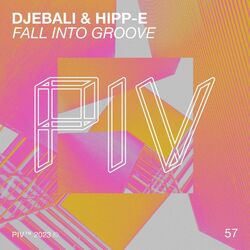 Cover of Fall Into Groove