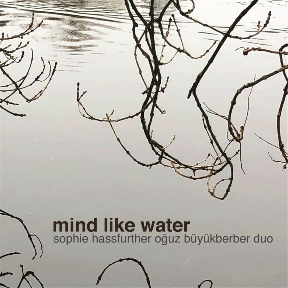 Picture of Mind Like Water