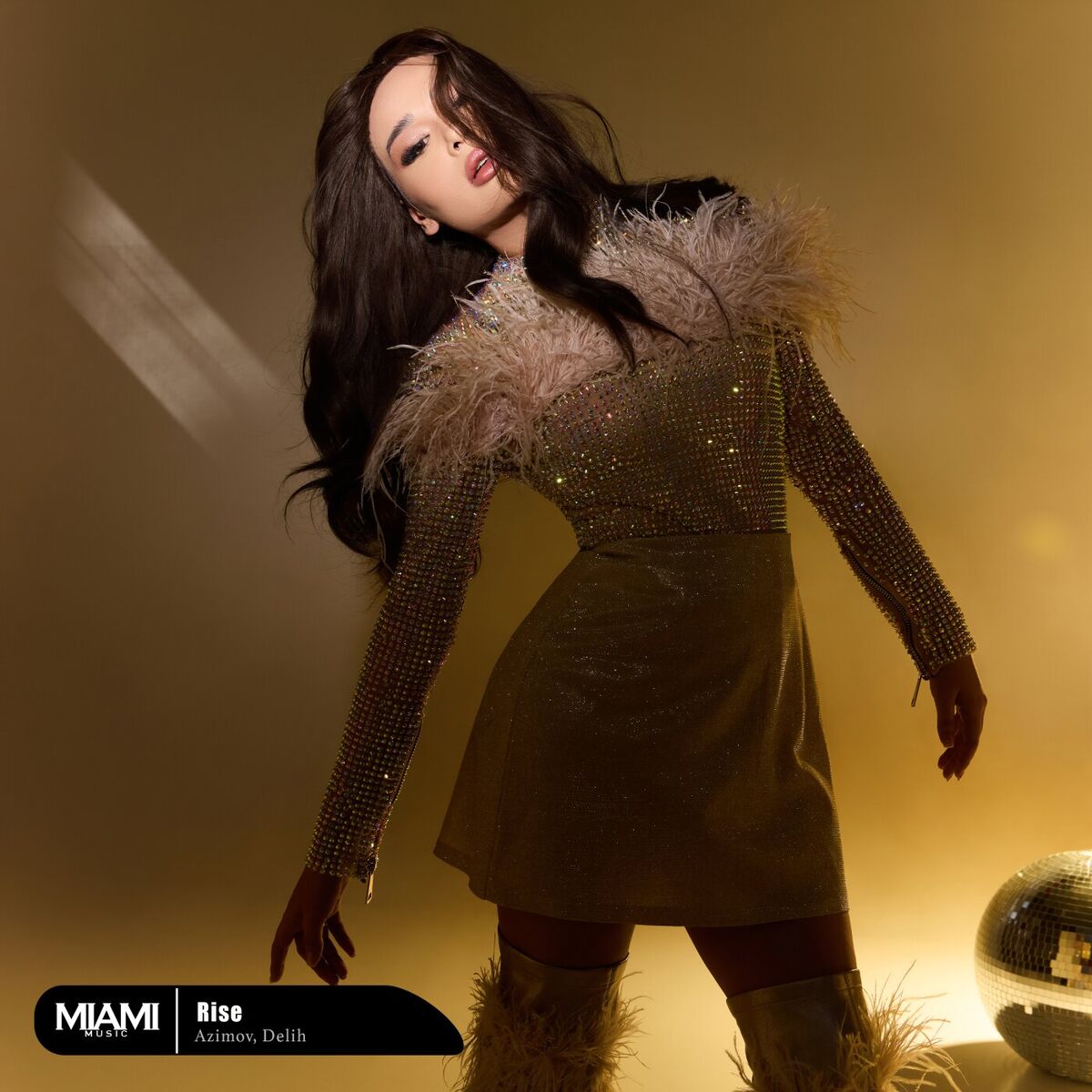 Album cover of Rise