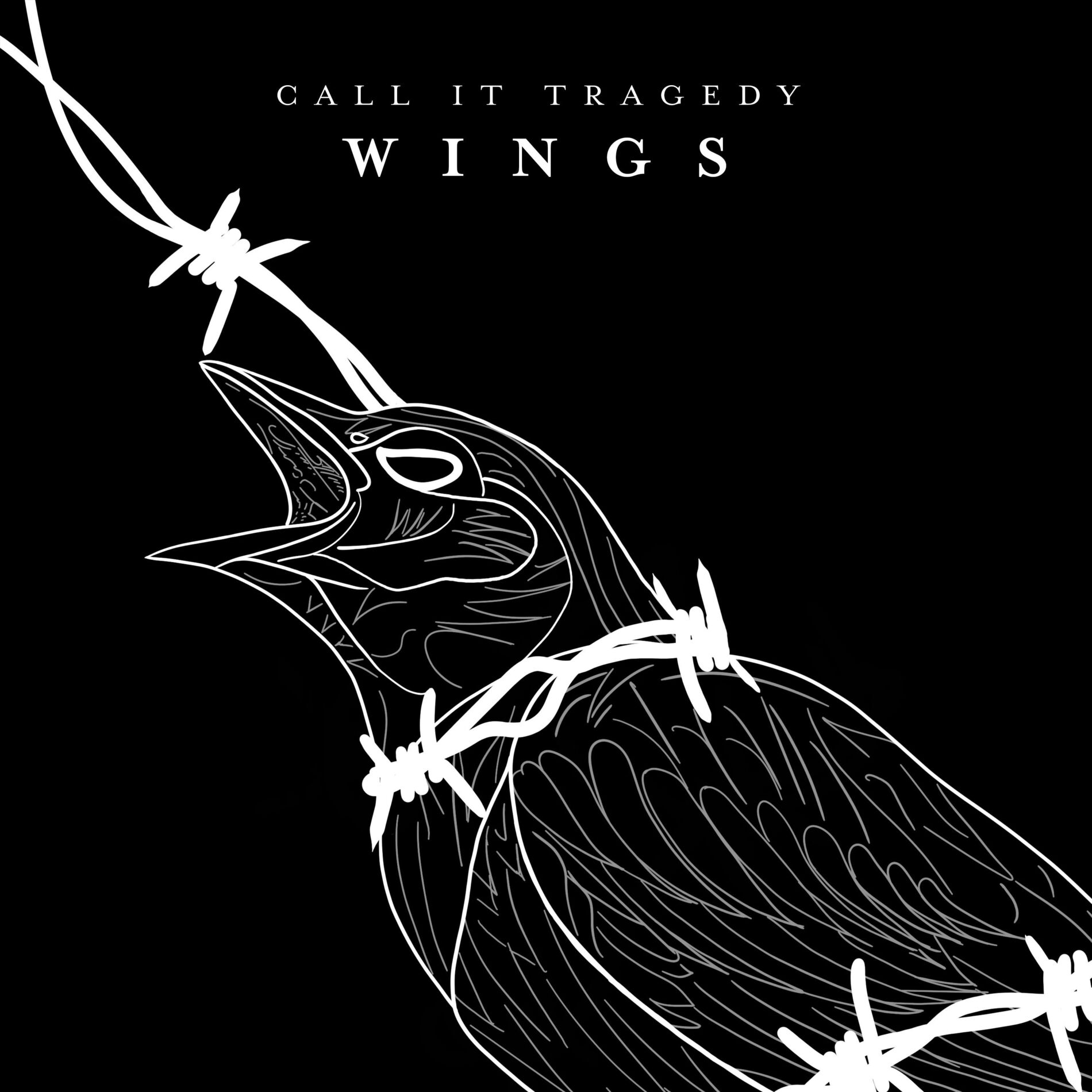 Album cover of Wings