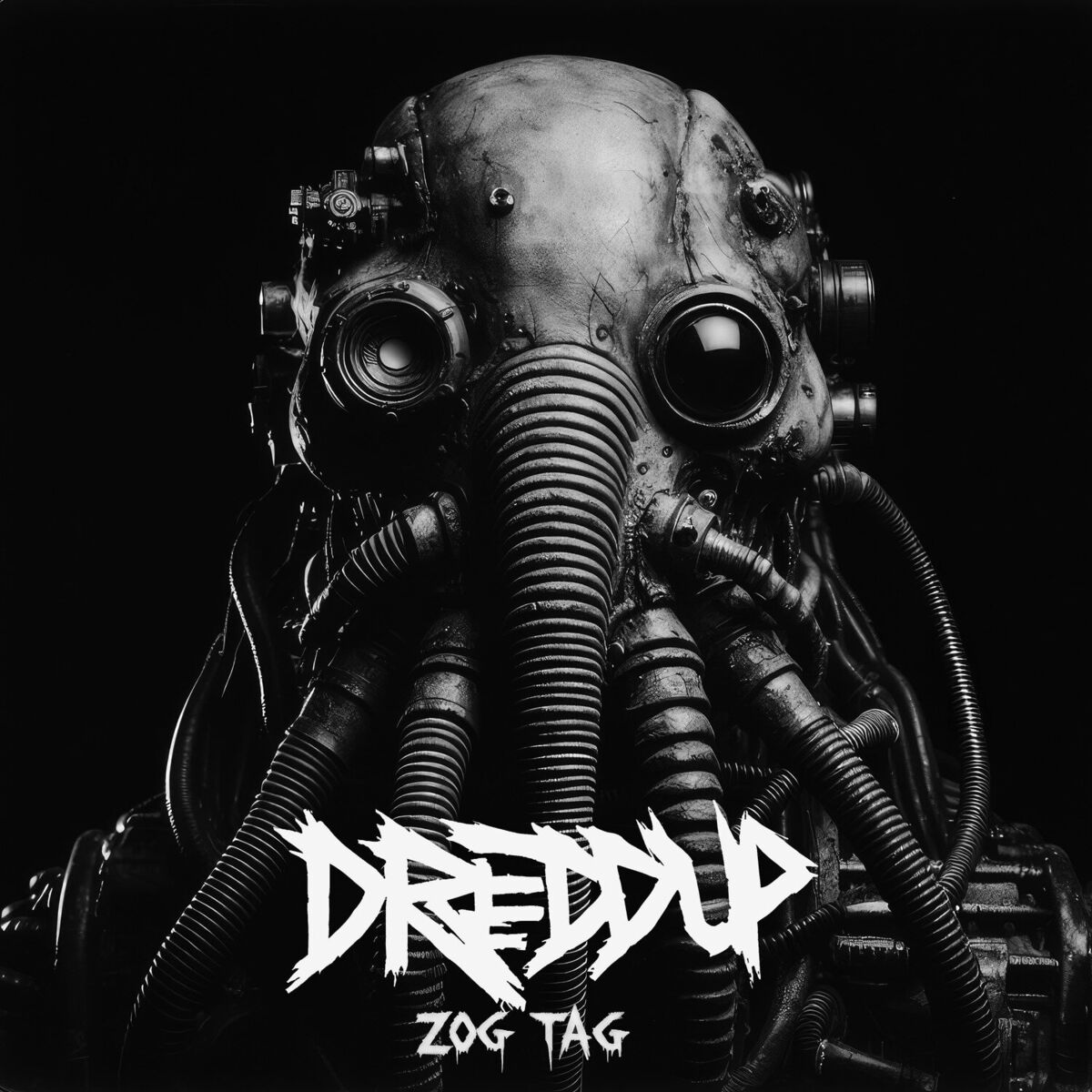 Album cover of Zog Tag