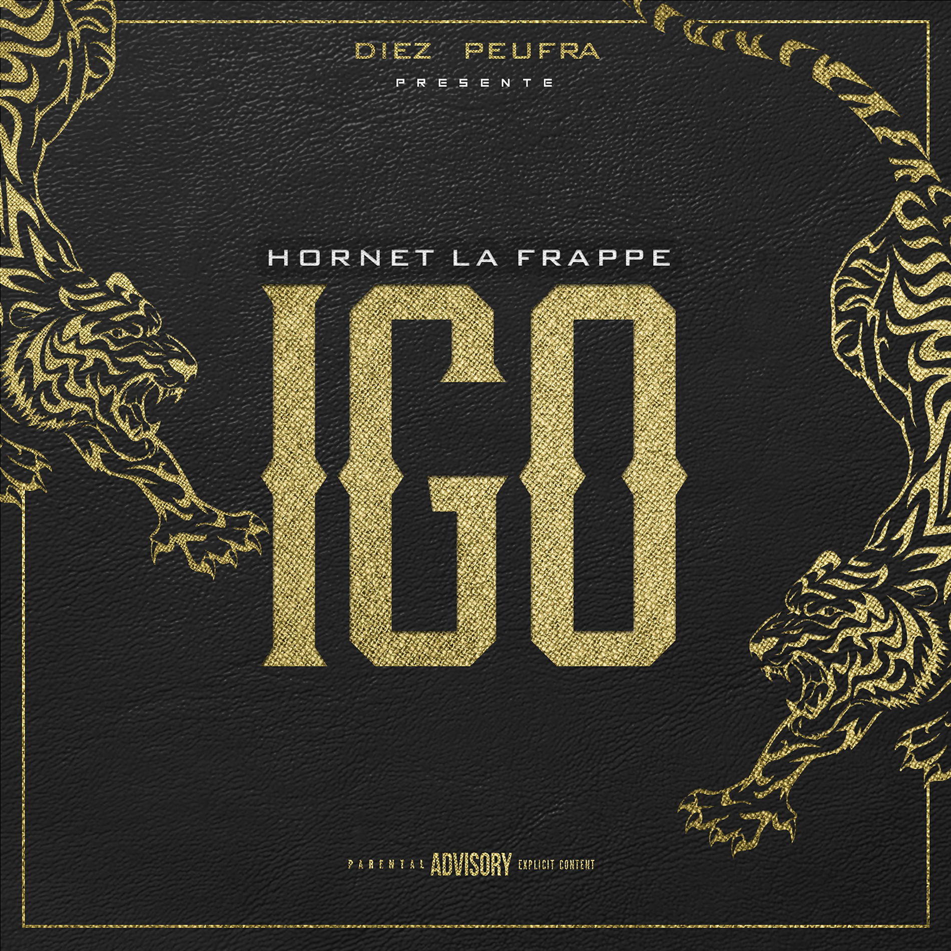 Album cover of Igo