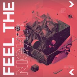Cover of Feel the Night