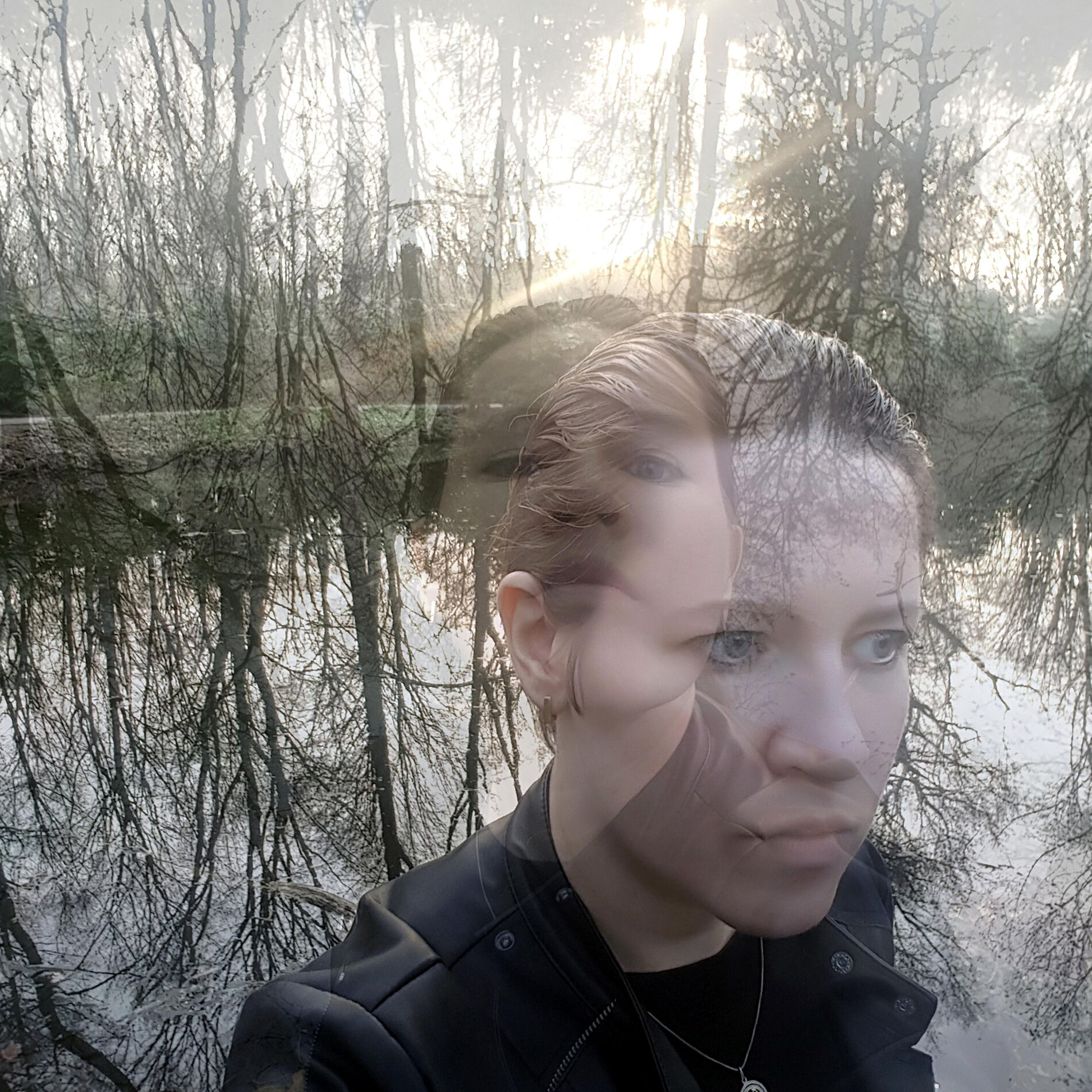 Album cover of Emotions