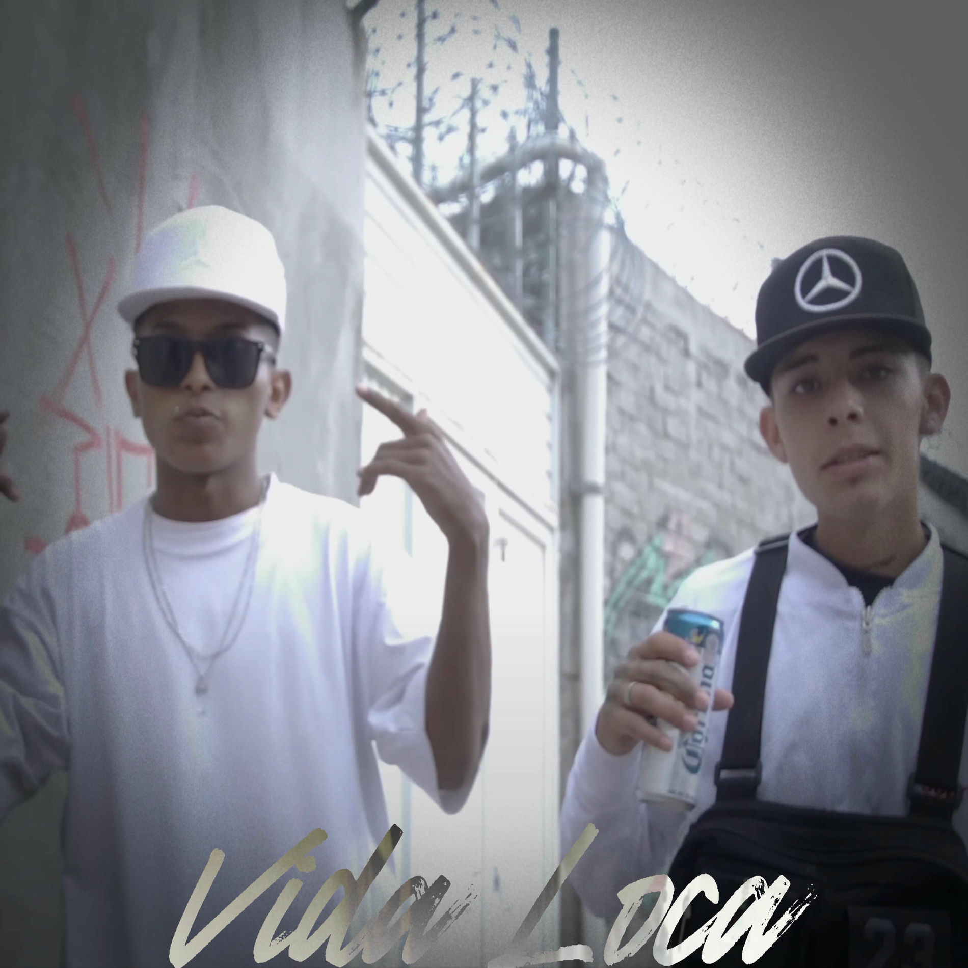 Album cover of Vida Loca