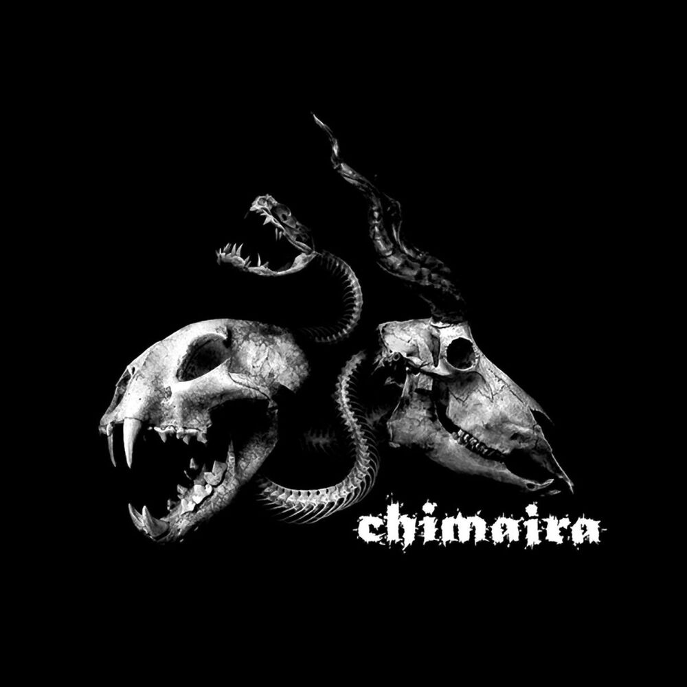 Picture of Chimaira [Special Edition]