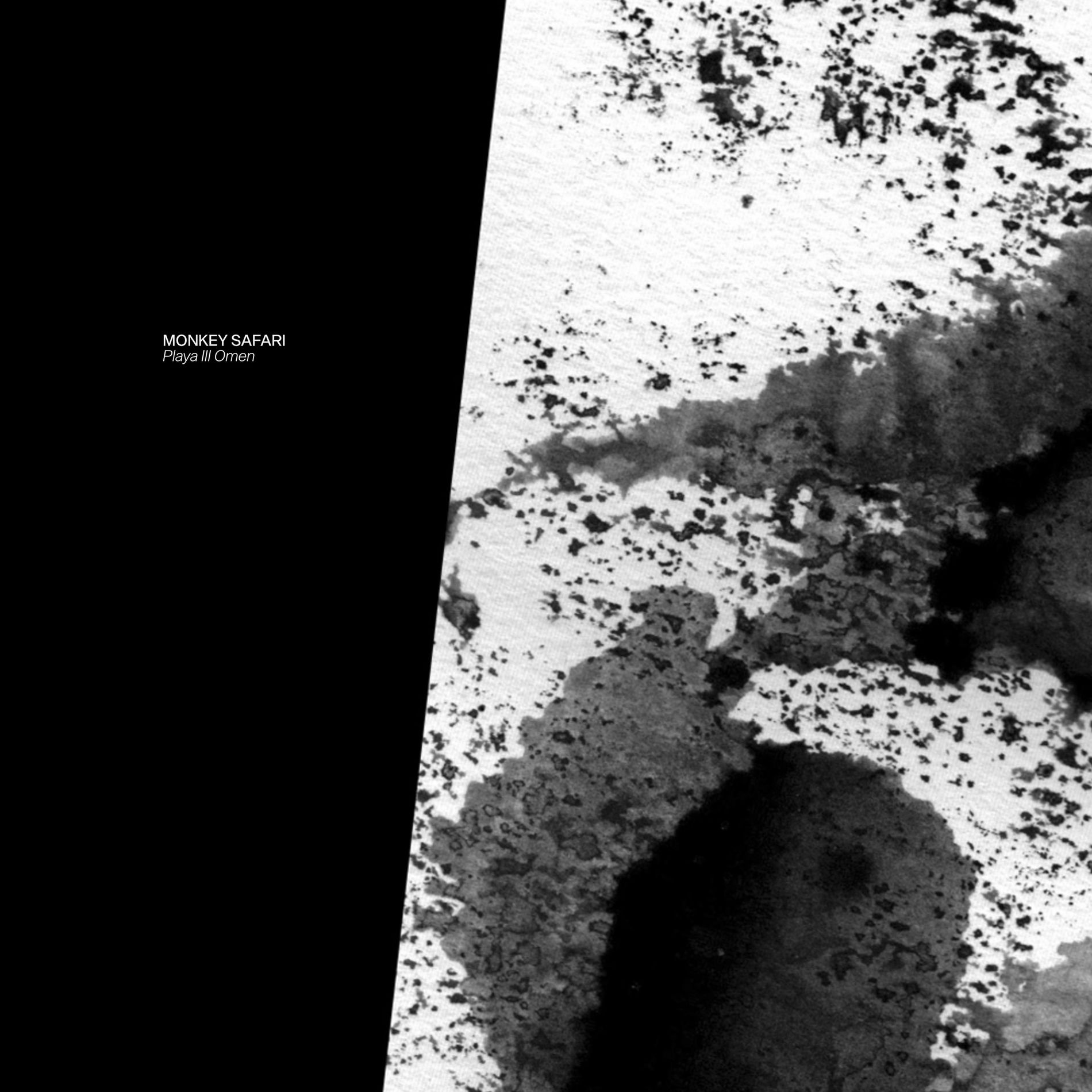 Album cover of Omen