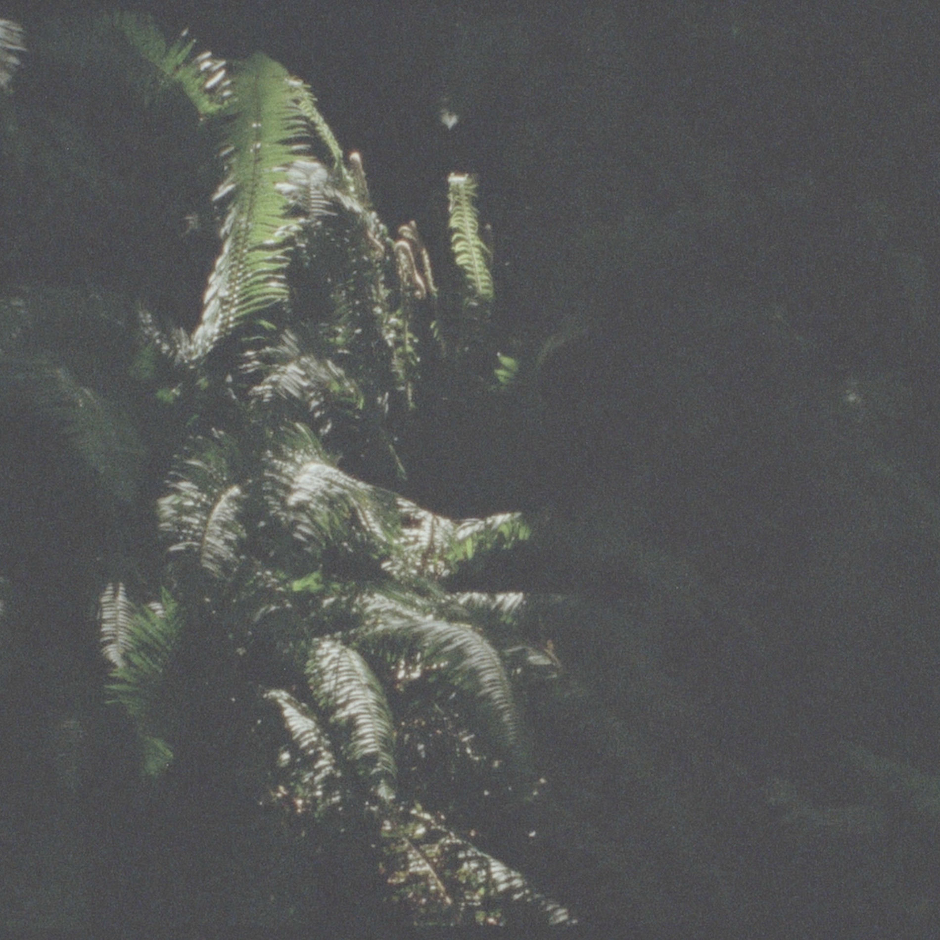 Album cover of Stolen Moments