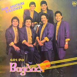 Cover of Por Muchas Razones