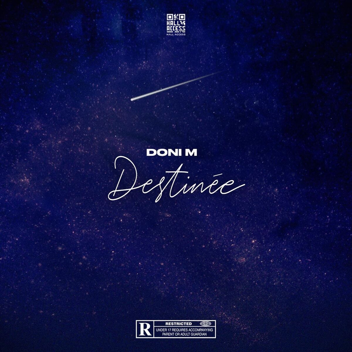 Album cover of Destinée