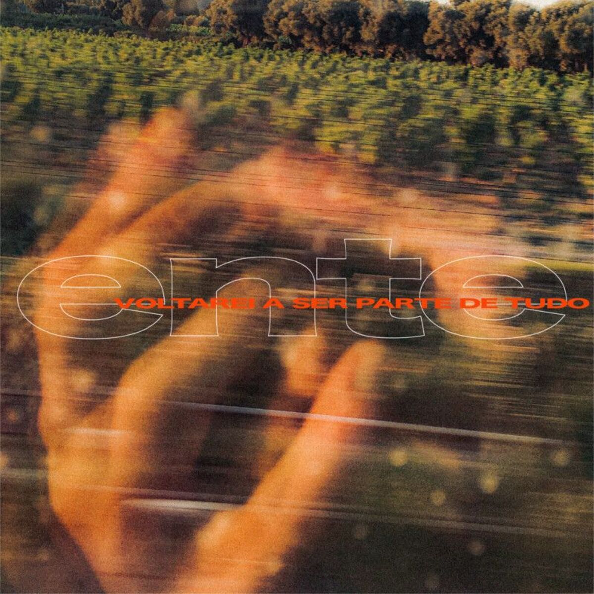 Album cover of Voltarei A Ser Parte De Tudo