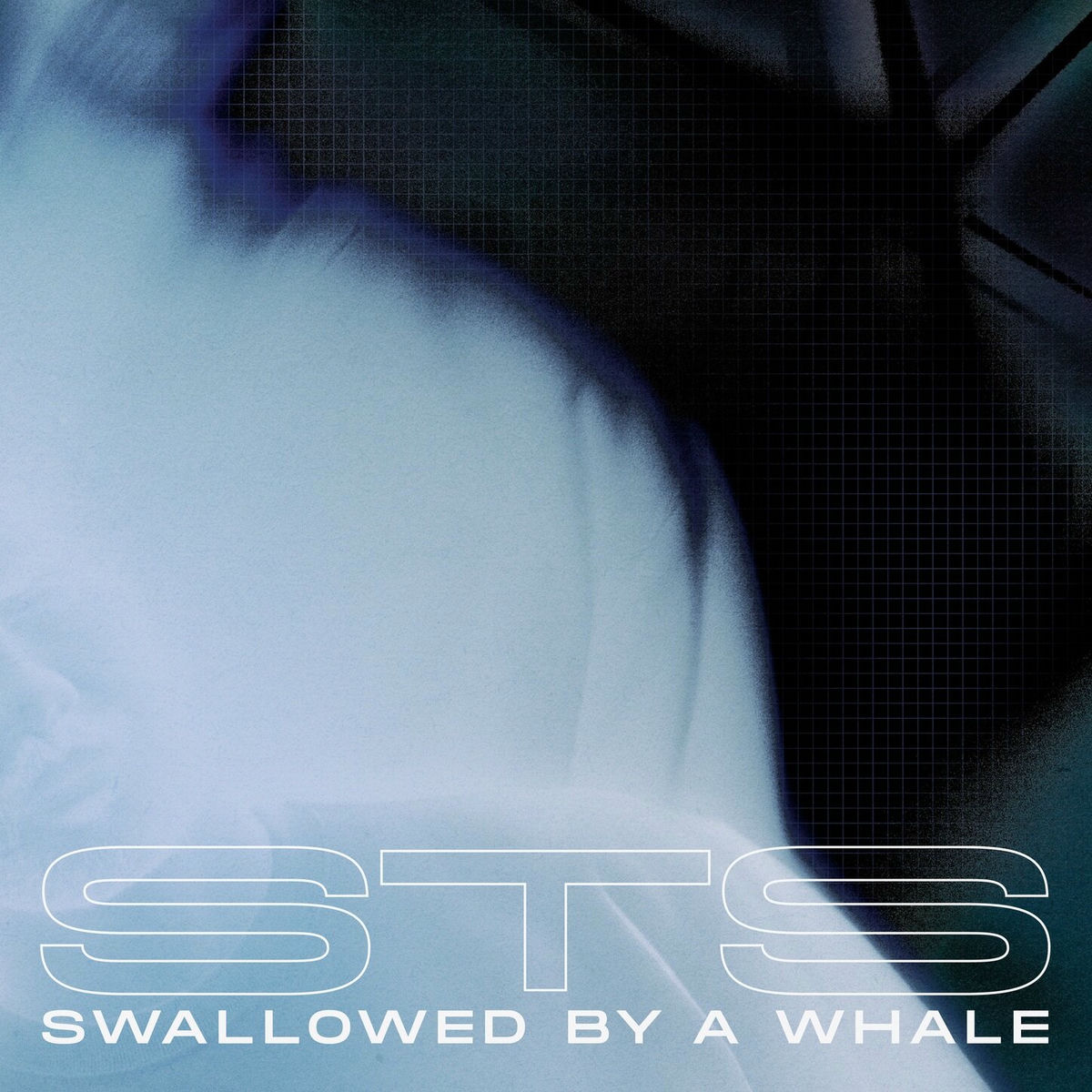 Album cover of Swallowed By A Whale