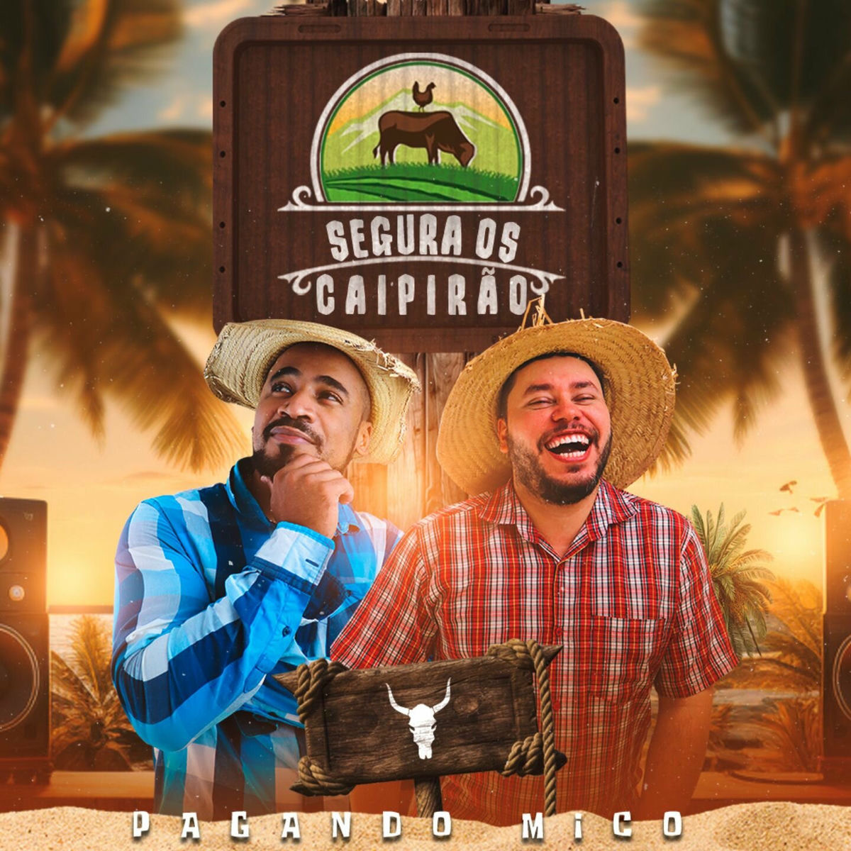 Album cover of Segura Os Caipirão