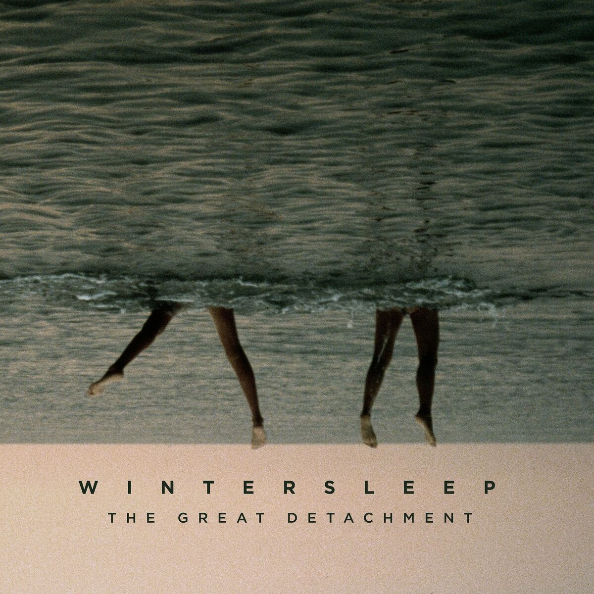 Album cover of The Great Detachment