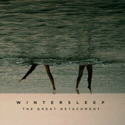 Cover of The Great Detachment