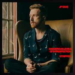 Cover of Dangerous Levels Of Introspection (Stripped)