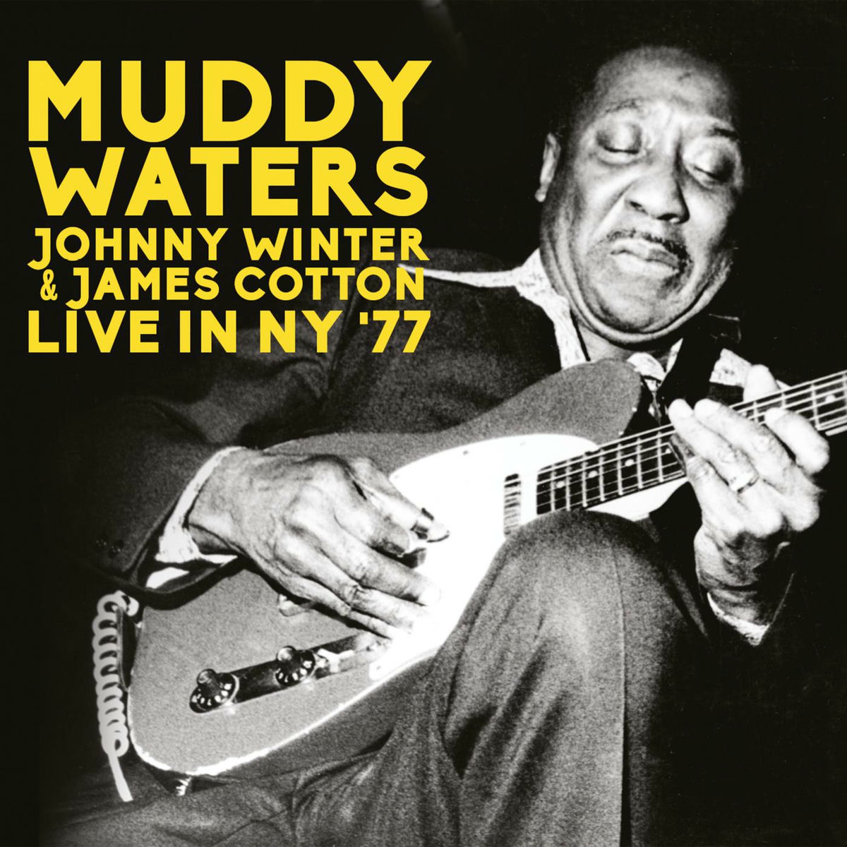 Album cover of Live In NY '77