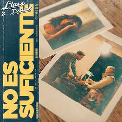 Cover of No Es Suficiente